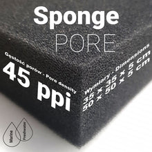 Load image into Gallery viewer, Sponge Pore