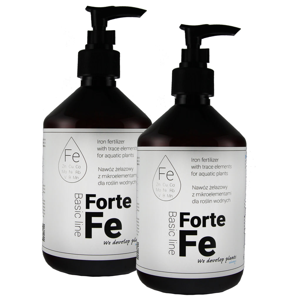 Forte Fe (Micro, Fe)